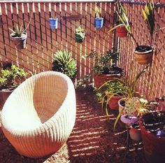 there is a chair and potted plants in the yard