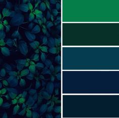 green and blue color palettes with leaves in the middle, on top of each other