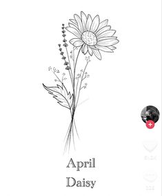 a black and white drawing of a flower with the words, april daisy on it