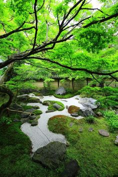 a garden with rocks, grass and trees