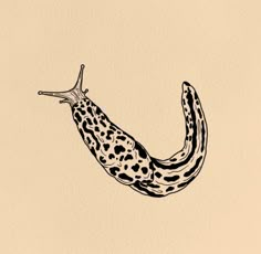 a black and white drawing of a slug with spots on it's back end