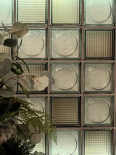 a vase filled with flowers sitting next to a glass block wall covered in frosted squares