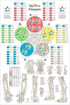 "Available in 24\" X 36\" for USA & Canada orders. Five Elements Acupuncture Points Poster 22\" X 33\" Custom designed healthcare poster.  Printed on heavy weight HP satin finish paper. Available laminated. The five elements theory of acupuncture poster. The wall chart list the element points (Fire, Earth, Metal, Water and Wood). All color coordinated for each of the meridians. The Back Shu, Front Mu, Source, Luo, Xi Cleft, Entry, Exit and Horary points are listed in large type for each meridian Healthcare Poster, Acupuncture Points Chart, Liver Care, Point Acupuncture, The Five Elements, Five Elements, Beach Necessities