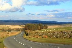 an empty road in the middle of a grassy field with sheep grazing on the side