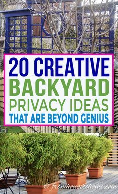 some potted plants with the words 20 creative backyard privacy ideas that are beyond genius