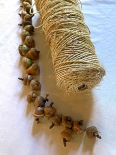 some little snails are crawling along a rope on a tablecloth with white linen behind them