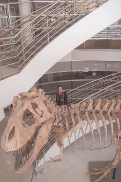 a man standing next to a dinosaur skeleton in a museum display area with stairs and railings