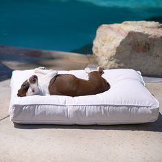 Raine Outdoor Floor Pillow® - Animals Matter Outdoor Futon, Indoor Dog Bed, Outdoor Dog Beds, Bed Options, Outdoor Pet Bed, Outdoor Dog Bed, Dog Mommy, Outdoor Beds, Luxurious Life