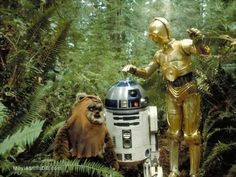 a star wars scene with a robot and a cat in the woods, one is talking to another