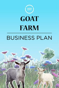 two goats standing next to each other in a field with flowers on the side and text goat farm business plan