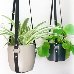 two hanging planters with plants in them on a white wall next to each other