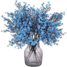 blue flowers in a vase on a white background