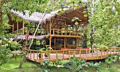 a house in the middle of some trees and grass with lots of plants around it