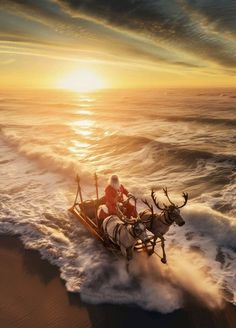 two people riding in a sleigh pulled by reindeers on the beach at sunset