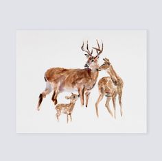 a watercolor painting of three deer and two fawns on a white background