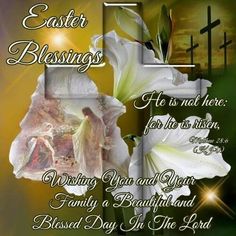 an easter card with white lilies and the words,'easter blessings he is not here for his risen,