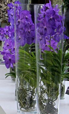 two clear vases filled with purple flowers on top of a white table next to each other