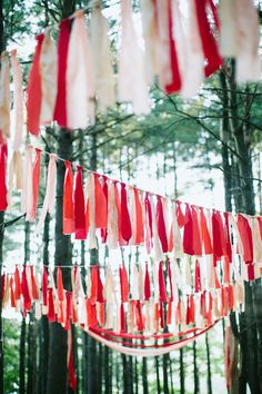 red and white streamers hanging from trees in the woods