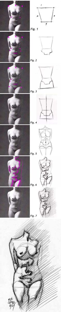 some drawings are shown with different shapes and lines on them, including the top one in purple