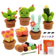 crochet kit with cactus and succulents in small potted plants