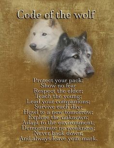 two white and gray dogs with the words code of the wolf