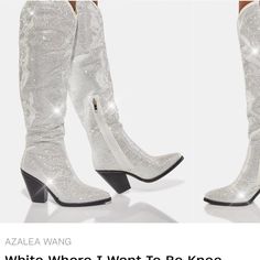 Beautiful Shine Boots Azalea Wang Dolls Kill Shoes, Pointed Boots, Low Heel Boots, Azalea Wang, High Heel Boots Knee, Chunky Heels Boots, Pointed Toe Boots, Shoes Luxury, Chunky Block Heels