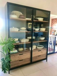 a display case with bowls and plates on it's sides in a room next to a potted plant