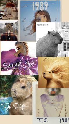 the collage shows images of animals and their names