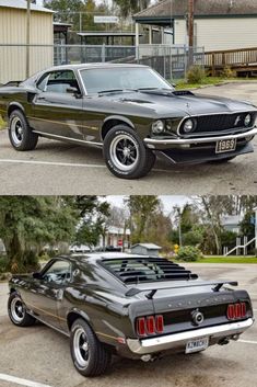 All About 1969 Ford Mustang  Mach 1 Vintage Muscle