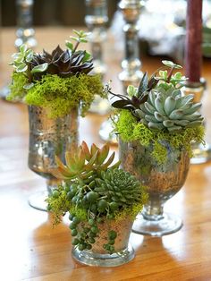 three glass vases filled with plants on top of a wooden table next to candles