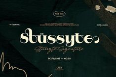 the font and numbers for sussette, an elegant script that is handwritten by person