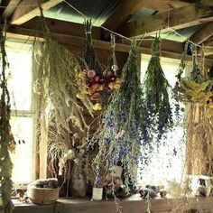 dried flowers hanging from the ceiling in a rustic room with sunlight coming through the window