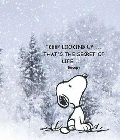 Head Up Quotes, Peanuts Cartoon Characters, Snoopy Museum, Snoopy Party, Keep Looking Up, Charles Schulz