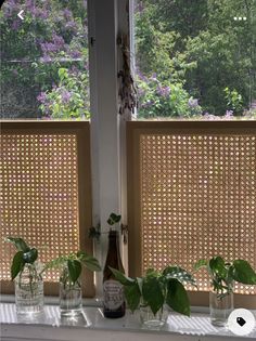 a window sill with plants and bottles on it