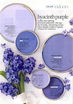 the color purple is an excellent shade for any room