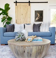 a living room with a blue couch, coffee table and potted plant in it