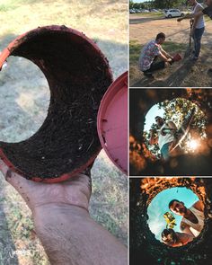 four different pictures show people working in the woods and digging for something that is growing