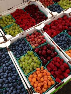 fresh berries and other fruits are on display