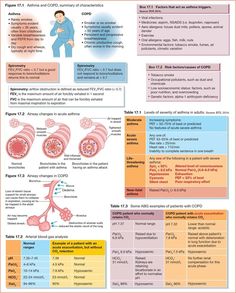 the diagram shows different types of nematia and their functions in human body, including