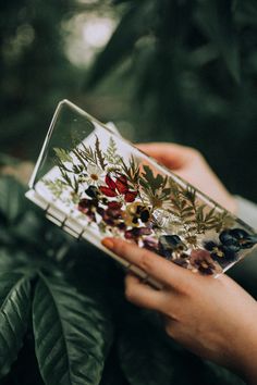 a person holding a clear case filled with flowers and leaves on top of a leafy green plant