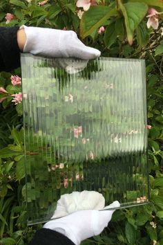 a person holding up a clear piece of glass in front of some plants and flowers