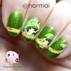 Instagram Frog Nail Art, Frog Nails, Animal Nail Designs, Red Eyed Tree Frog, Animal Nail Art, Simple Acrylic Nails, Animal Nails