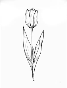 Suculentas Tattoo, Tulip Drawings, Tulip Line Drawing, Embroidery Practice, Anklet Tattoos, Black Tulips