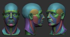 three different views of the head and neck of a man with multiple colored sections on his face