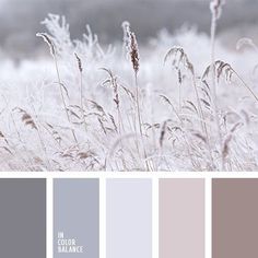 the color scheme is gray, white and grey with some light brown tones in it