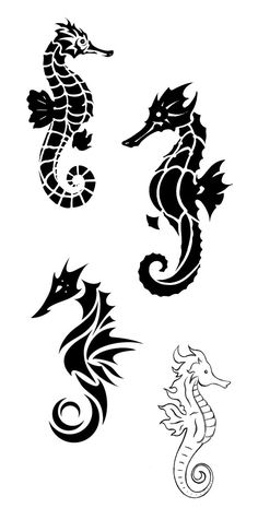 four different seahorses are shown in black and white