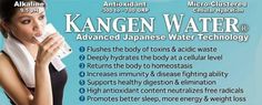 Alkaline Body, Healthy Water Drinks, Japanese Water, Healing Waters