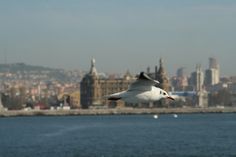 a seagull flying over the water with a city in the background