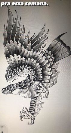 a black and white drawing of a bird with feathers on it's head in spanish