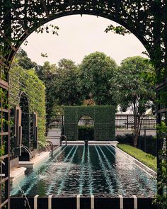 an outdoor swimming pool surrounded by trees and greenery, with a bench in the middle